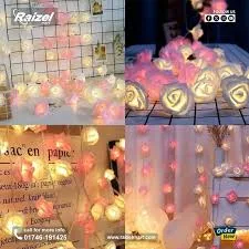 LED Rose String Fairy Lights – 80 Pcs White and Pink Rose
