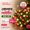 ১৬০ পিসের প্রিমিয়াম গোলাপ লাইটিং কম্বো সেট (দৈর্ঘ্য ৫০ ফুট)
