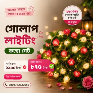 ১৬০ পিসের প্রিমিয়াম গোলাপ লাইটিং কম্বো সেট (দৈর্ঘ্য ৫০ ফুট)